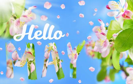 hello May background with blooming apple flowers on tree branch against blue sky and inscriptionの写真素材