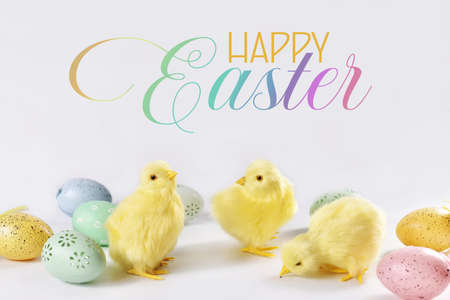 Easter card with cute three chickens and colored eggs in pastel colors against white backgroundの写真素材