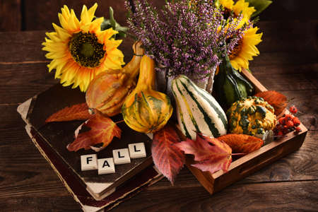 Autumn still life with ornamental gourds, colorful leaves and seasonal flowers in rustic styleの写真素材