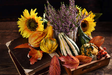 Autumn still life with ornamental gourds, colorful leaves and seasonal flowers in rustic styleの写真素材