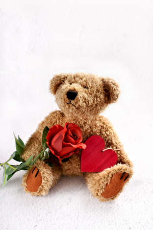 Cute teddy bear holding red rose and a heart sitting on white background with copy space for own textの写真素材