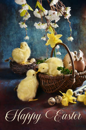 Easter card with wicker basket and sweet chicken figurines on grunge backgroundの写真素材