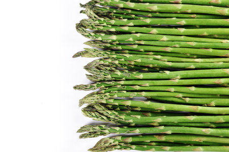 Green asparagus border isolated on white with copy space for own text on left sideの写真素材