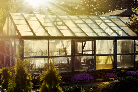 Old abandoned greenhouse photographed at sunset with sun raysの写真素材