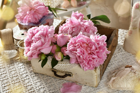 Pink fresh peonies in old wooden drawer on the table with retro style lace tableclothの写真素材