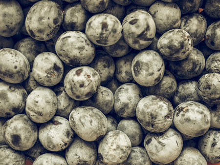 Vintage faded Prune fruits, vegetarian food useful as a backgroundの写真素材