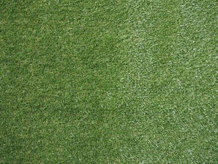 Green artificial grass texture useful as a backgroundの写真素材
