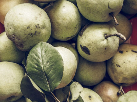 Vintage faded Pear (Pyrus) fruits, healthy vegetarian food useful as a background