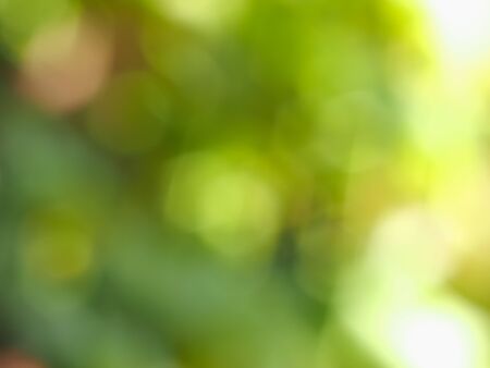 abstract green blur with bokeh effect useful as a backgroundの写真素材