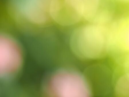 abstract green blur with bokeh effect useful as a backgroundの写真素材