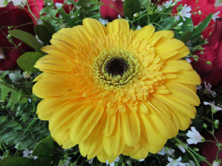 A bouquet of flowers with a yellow Gerbera daisy in close-up.の写真素材