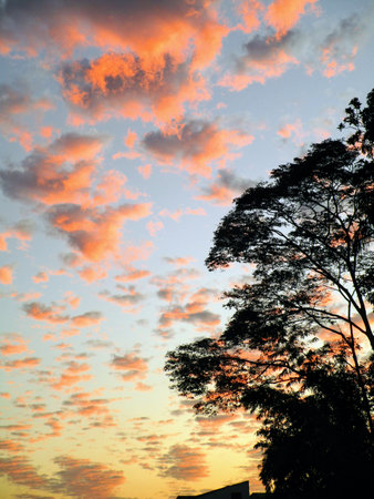 Sunset with enchanted colors in autumn.の写真素材