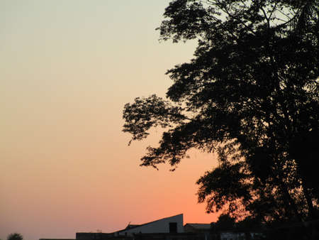 Spring sunset with a clear gradient sky. Tree silhouette and house roof in foreground.の写真素材