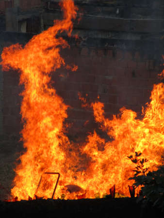 Burning flames in abandoned land.の写真素材