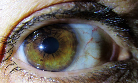 Macro portrait of a person's green eye with open eye.の写真素材
