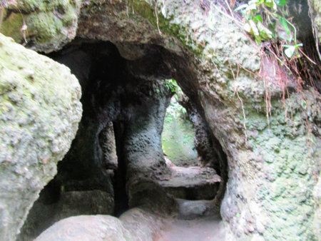 Trail and entrance to a cave with its various galleries, in Rio de Janeiro.の写真素材