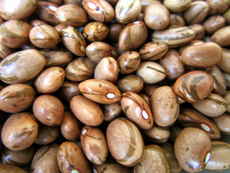 Close up of dried pinto beans in a market in Brazil.の写真素材