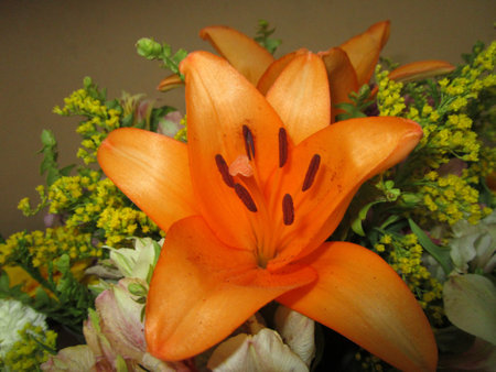 Orange lily in a bridal bouquet, close-upの写真素材