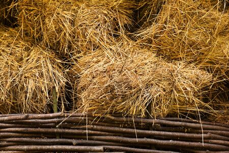 hay at haylofts close-up as a backgroundの写真素材