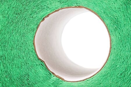 roll of toilet paper green close upの写真素材