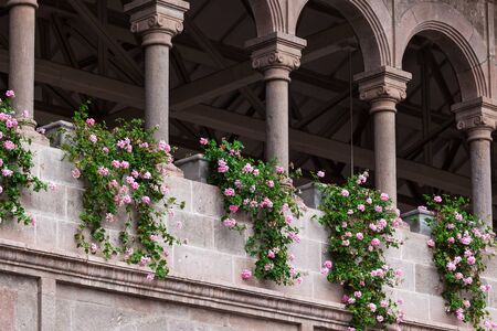 flowers and columns in an old monasteryの写真素材