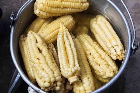 boiled corn in a metal bucketの写真素材