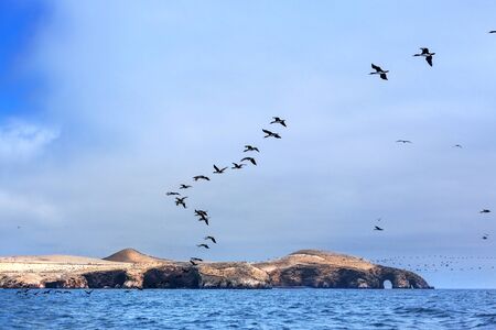 ocean, island and flock of birds on a sunny dayの写真素材