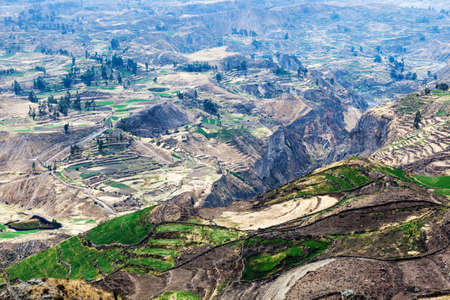 terrace fields in the mountain canyon