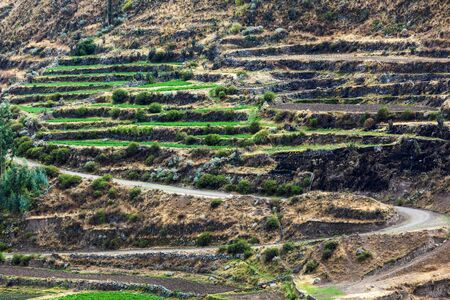 terraces and the road in the Andesの写真素材