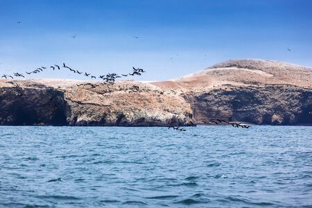 ocean, island and flock of birds on a sunny dayの写真素材