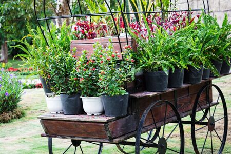 old carriage with flowers on the wall backgroundの写真素材