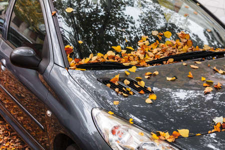 Urban autumn landscape. Car covered with autumn leaves.の写真素材
