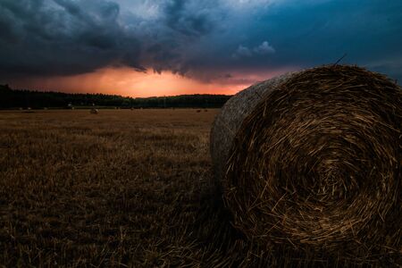 Bay hales field during a sunrise before the storm