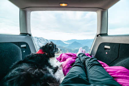 View from the trunk of a car to beautiful austrian landscape with the black and white Border collie and girls legsの写真素材