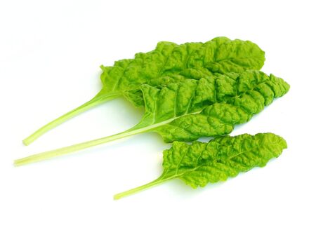spinach Swiss chard