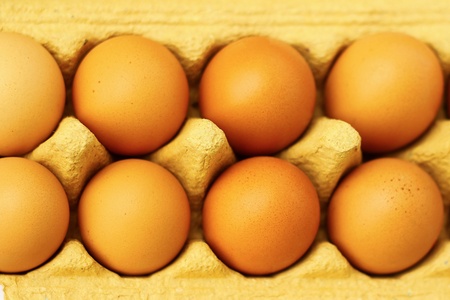 chicken eggsの写真素材