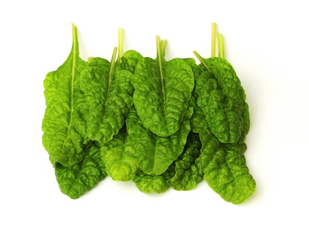 chardの写真素材