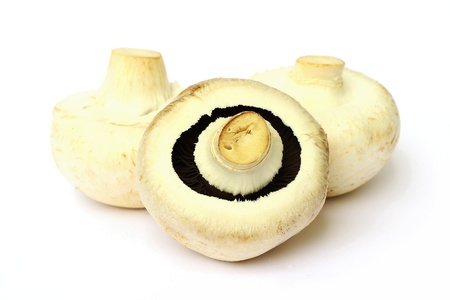 mushroomsの写真素材