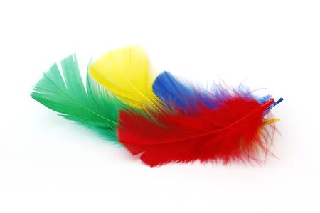 colored feathersの写真素材