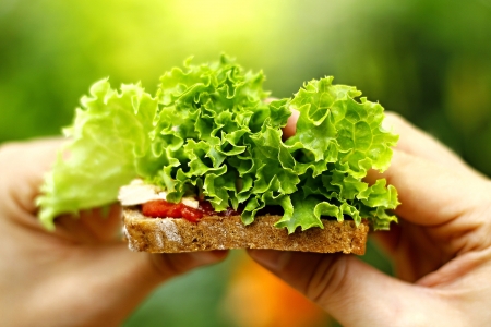 vegan toast with fresh saladの写真素材