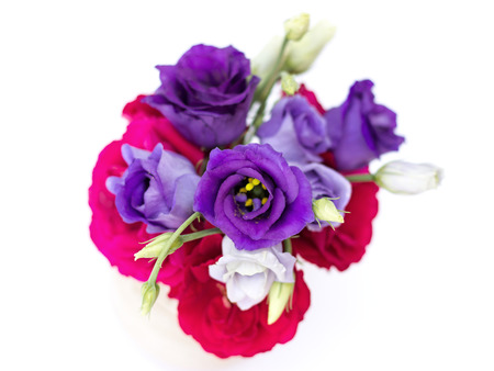 Eustoma grandiflorum on a white background