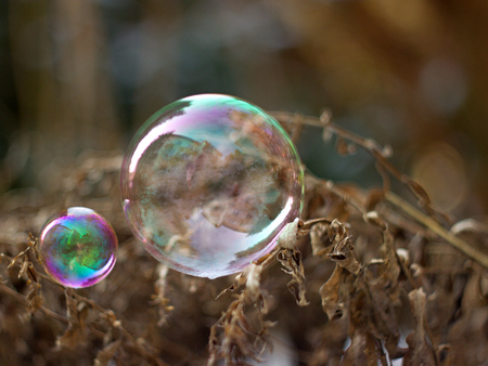 soap bubble in nature in winterの写真素材