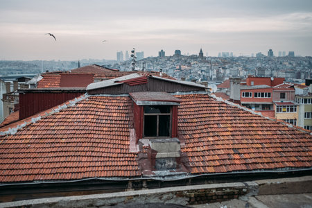 TURKEY, ISTANBUL, DECEMBER 14, 2018: Old tiled roof and Istanbul city viewのeditorial素材