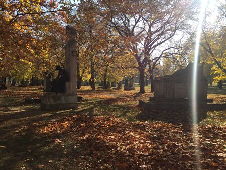 statues in the parkの写真素材