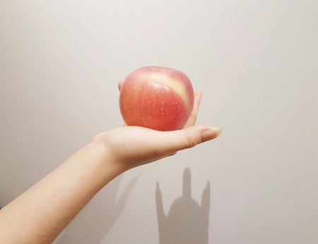 Still image of hand holding an apple with white backgroundの写真素材