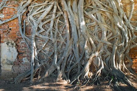 ANG THONG PROVINCE, THAILAND - MAY 17, 2015: Wat Sang Kratai is 400 years old temple. It is deserted temple in Ang Thong Province, Thailand.のeditorial素材