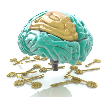 Human brain and keys in the design of information related to intellectual problemsの写真素材