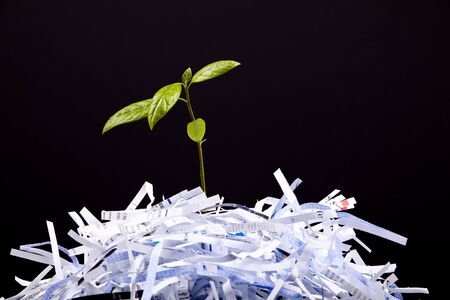 New Life concept with recycle - black backgroundの写真素材