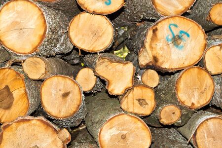 stack of logsのeditorial素材