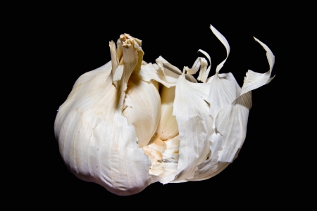 garlicの写真素材